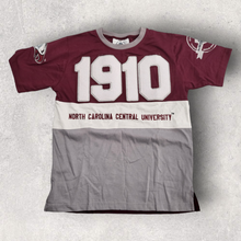Load image into Gallery viewer, NCCU Vintage Colorblock Chenille T-Shirt
