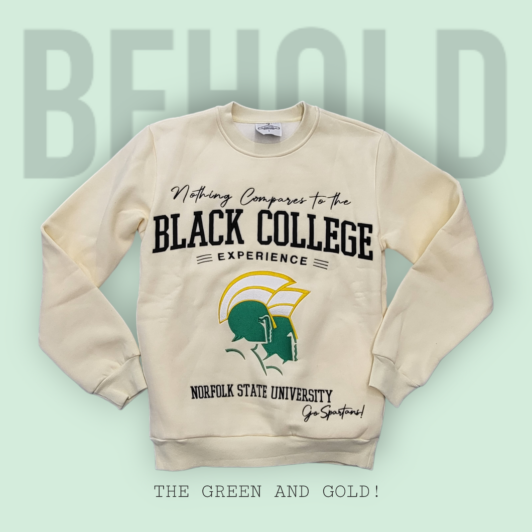 Nothing Compares To The Black College Experience- Norfolk State