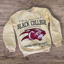 Load image into Gallery viewer, Nothing Compares to the Black College Experience- Virginia Union
