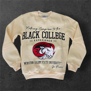 Nothing Compares to the Black College Experience WSSU