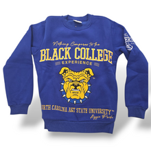 Cargar imagen en el visor de la galería, Nothing Compares To The Black College Experience- NCA&amp;T Royal
