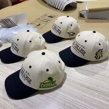 Load image into Gallery viewer, Nothing Compares Premium Snapback
