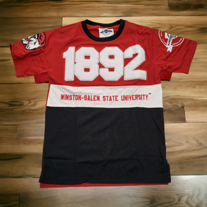 WSSU Vintage Colorblock T-Shirt