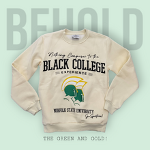 Load image into Gallery viewer, Nothing Compares To The Black College Experience- Norfolk State

