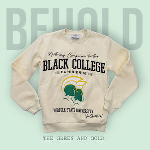 Nothing Compares To The Black College Experience- Norfolk State